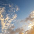 노을농장 이미지