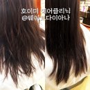 역삼 미용실 웨이브다이아나 호이미 헤어클리닉 후기