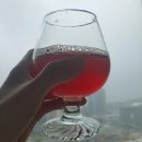 건강해지려고 샐러드 드시나요?? -안 보면 평생 후회하는 리얼 찐 후기 &lt;피엠인터네셔널 계서현&gt;