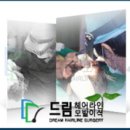 드림헤어라인의원 네이버블로그