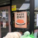 뽑기부라더 | 댕트리버와 시오닝과 버블냥이랑 함께 목포로 오시온