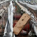 호우농장 이미지