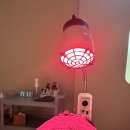 지에스25첨단메트로점 | 잠실두피케어 모바이오 솔직후기｜1회만으로 달라진 두피상태