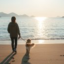 속초로망스애견동반펜션 이미지