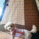 [강릉] 브라더 앤 브라더, 하슬라가배,엔드투앤드(feat. 휴가다 휴가!)