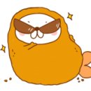 헤이롤 이미지