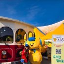 이목마을회관 | 가을 축제 가볼만한곳 고흥 유자축제 고흥몰 요리경연 시상식