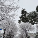 항아리식당 | 방송 보고 다녀온 군포 야외 맛집 추천, 솔향기 항아리 바베큐 식당 후기