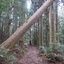 한라산둘레길안내센터 이미지