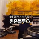 신촌블루스 | 울산 중구 bar 신촌블루스 내돈내산 솔직후기 및 총평