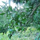 동동하우스 이미지