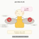 미주테라피 | 연산동에스테틱 미주신경 데콜테관리 이어테라피 왜 같이 받아야 할까