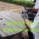 풍남초등학교 이미지