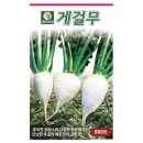 씨앗 이미지