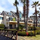 강정동-58 이미지