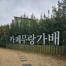 무랑가배 이미지
