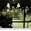 새벽농가축산 이미지
