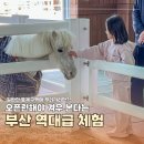 파크 힐(477)[스크린] | 여기 이 정도야? 렛츠런파크 부산 경남 렛츠런투어 방문 후기 꿀팁