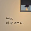 여수복집 이미지