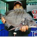 바다호 - 강화군 해안남로65번길 35-33 | 바다호