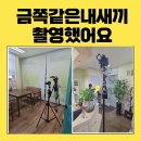 [청주심리상담]금쪽같은 내 새끼 촬영 이미지