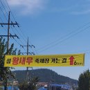 신안 축제 - 기간이 얼마 안남은 섬 왕새우 축제