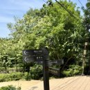 한솔화원 이미지