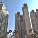 롯데119부동산공인중개사사무소 | 경기 용인시 기흥구 중동 1096 신동백롯데캐슬에코1단지 107동 13층