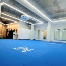 용인대 선샤인 유도 이미지