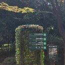 서울숲 생태숲 화장실 | 서울 봄나들이 명소 서울숲 사슴 생태숲 성수가볼만한곳