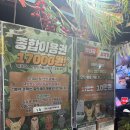 홍대 데이트 놀거리 실내동물원 테이블에이 후기