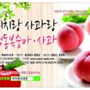 도청로 이미지
