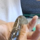 해피주유소 이미지