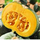 미니 단호박 못난이 5kg 6,210원 이미지
