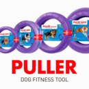 라운지독 이미지