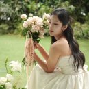 리즈니플레르