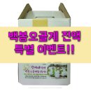 [특별 이벤트] 백봉오골계 진액으로 부모님께 효도하세요~ /백봉오골계 육수/백봉오골계 즙
