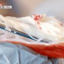 털보민박펜션 이미지