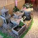 다우리참치 이미지