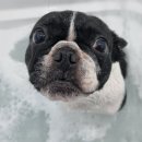 가온메디 이미지