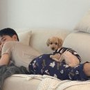 써봐조아 | 26년 3~4월 조아네