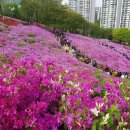 수리동주민센터 이미지