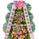 서정리 족구장 Daum카페