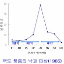 복숭아낙과와 적과작업 이미지