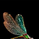 100세의료기 이미지