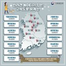 [강아지와 함께하는 여행] 차량 탑승편 강아지멀미/불안함 강아지 운동장이 있는 휴게소