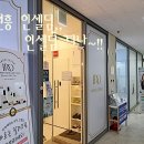 인셀덤티나