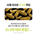 팀 챌린지 | 플로리브 애사핏 애사비 복용 후기(팀키토 챌린지)