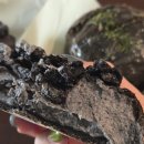 알멩이 게스트하우스 | 11월 제주도 3일차(4박5일)_뚱보아저씨/저지오름/크래커스한경/최남단방어축제/미영이네/동문재래시장...