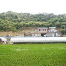 늘푸른농원 이미지